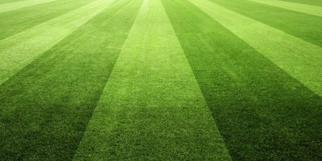 The Problem With PFM Reform ‘Best Practices’