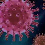 Como é que uma Gestão Financeira Pública Eficaz Melhora as Respostas à Pandemia da COVID-19?
