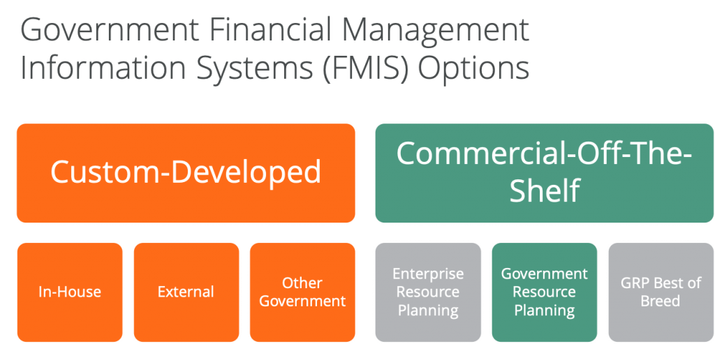Government Financial Management Information Systems Options