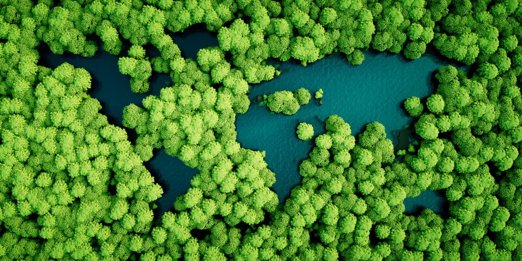 Public Finance to the Sustainability and Resilience  Rescue