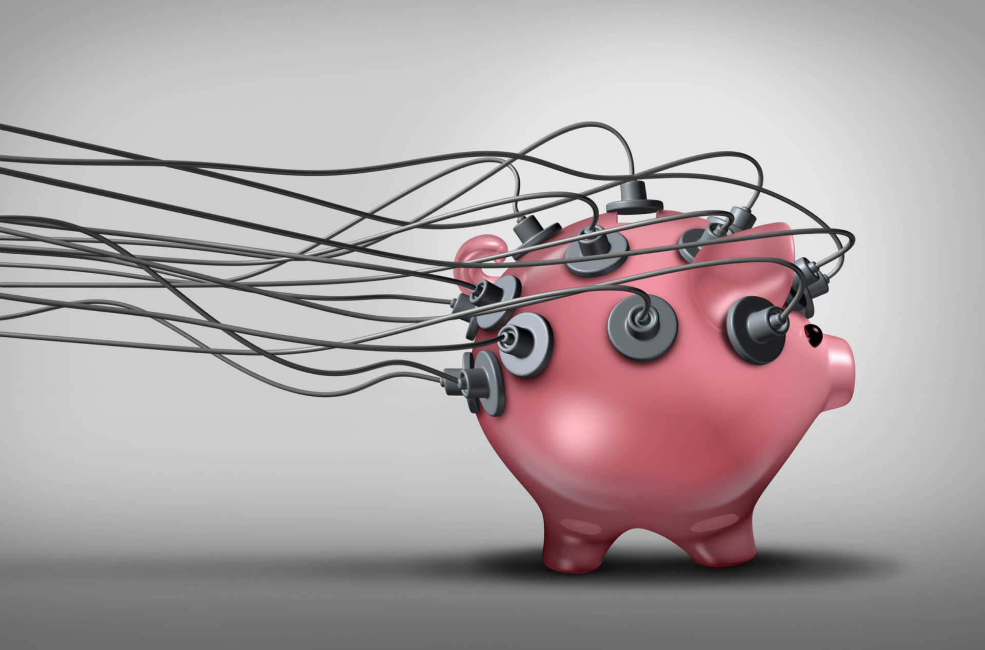 Government Performance Budgeting