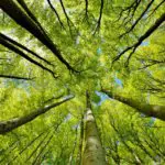 Equip the Public Sector for Sustainability Action