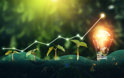 How Strong PFM Supports Sustainable Growth